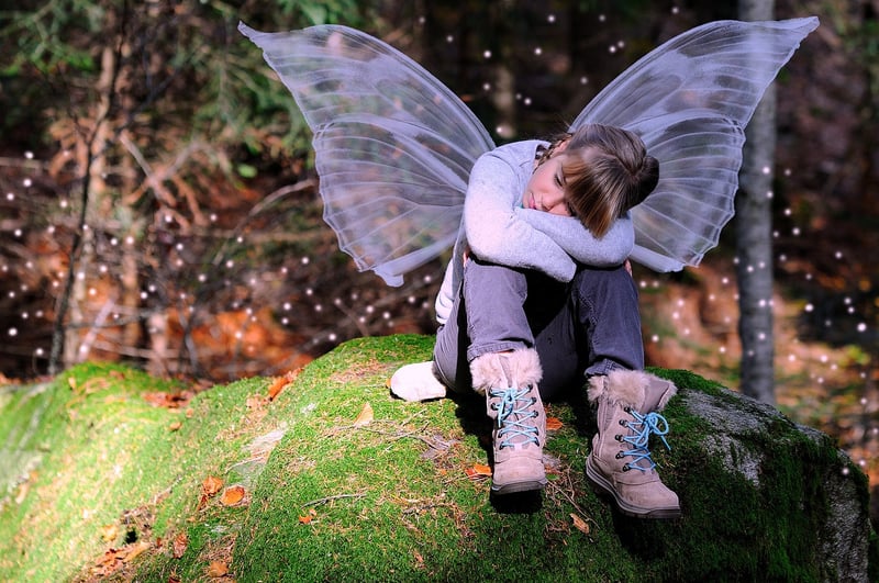 Fairy Wing Sweets